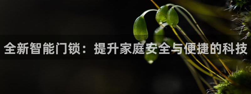 开丰娱乐月7O667
