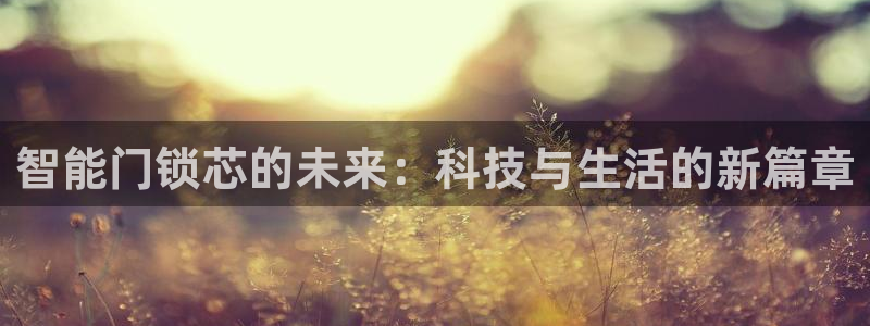 开丰娱乐会员中心：智能门锁芯的未来：科技与生活的新篇章
