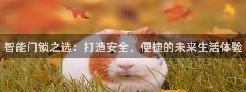 开丰娱乐平台注册时间：智能门锁之选：打造安全、便捷的未来生活