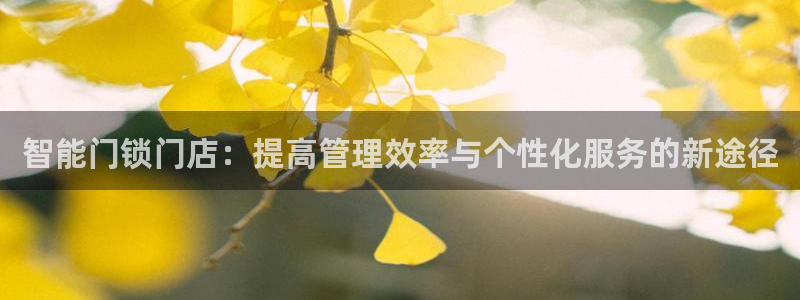 开丰娱乐官网电话：智能门锁门店：提高管理效率与个性化服务的新