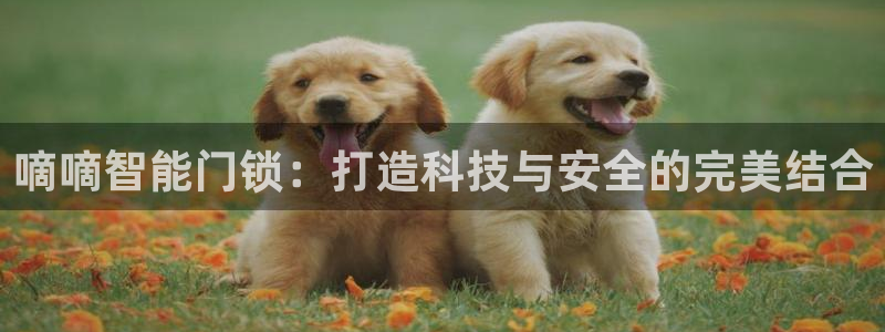 开丰娱乐登入地址在哪查：嘀嘀智能门锁：打造科技与安全的完美结