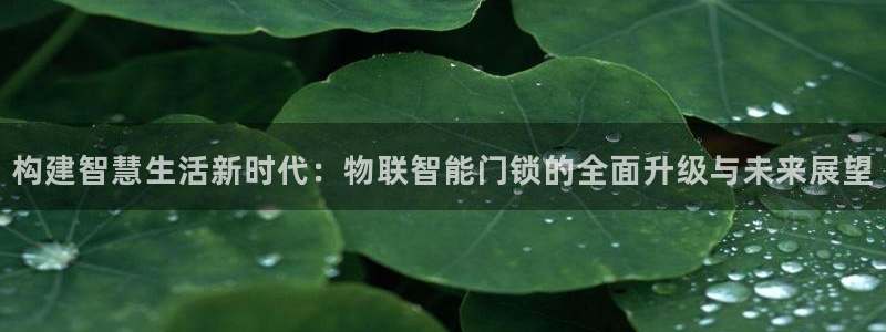 开丰娱乐平台注册时间：构建智慧生活新时代：物联智能门锁的全面