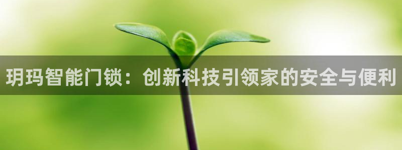 开丰娱乐2登录：玥玛智能门锁：创新科技引领家的安全与便利