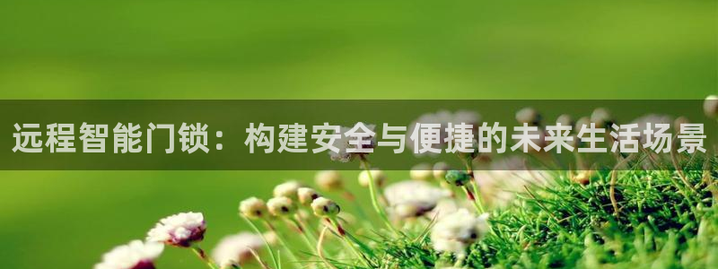 开丰娱乐主管家去判官333OO：远程智能门锁：构建安全与便捷