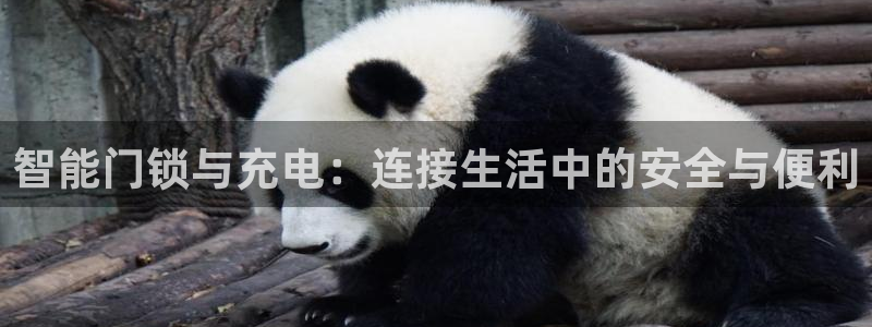 开丰娱乐登入地址是什么：智能门锁与充电：连接生活中的安全与便