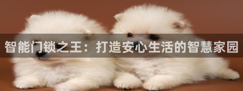 开丰娱乐平台地址：智能门锁之王：打造安心生活的智慧家园
