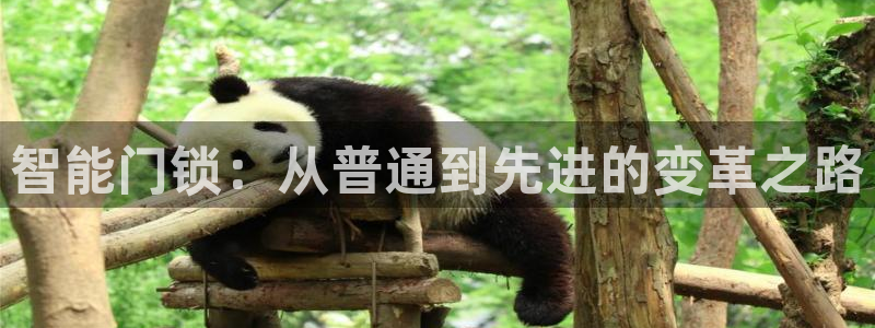 如何注册开丰娱乐账号：智能门锁：从普通到先进的变革之路