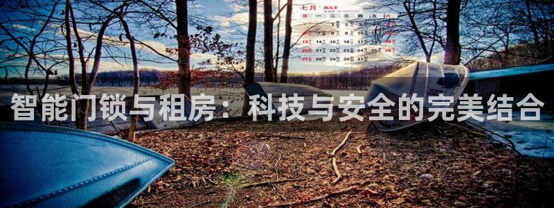 开丰娱乐姜333OO：智能门锁与租房：科技与安全的完美结合