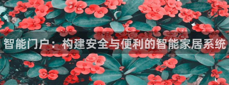 开丰娱乐线路：智能门户：构建安全与便利的智能家居系统