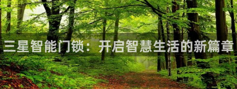 开丰娱乐主管：三星智能门锁：开启智慧生活的新篇章
