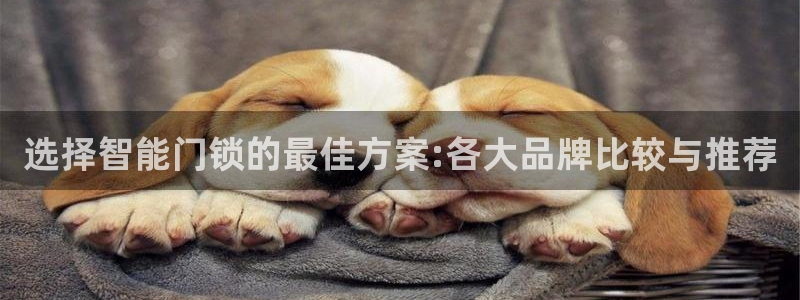 开丰娱乐登录平台：选择智能门锁的最佳方案:各大品牌比较与推荐