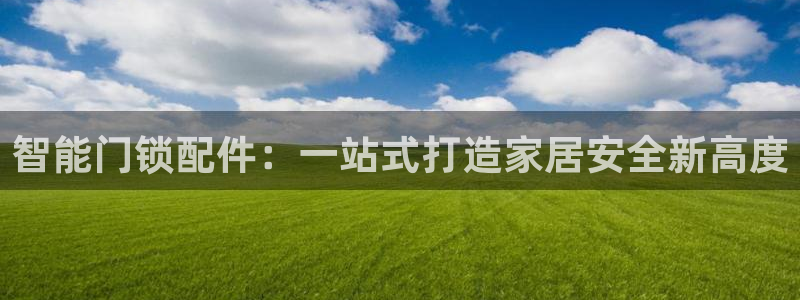 开丰娱乐主管家去判官333OO：智能门锁配件：一站式打造家居