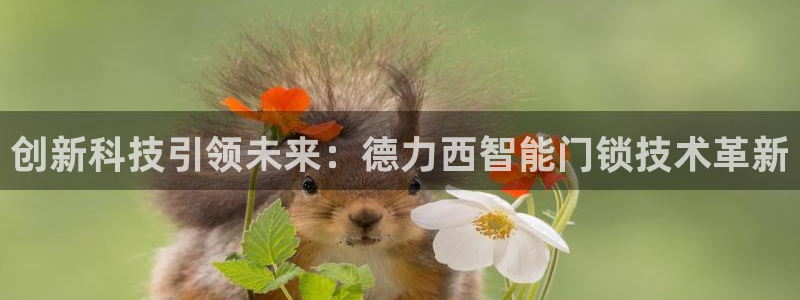 开丰娱乐网官网注册入口：创新科技引领未来：德力西智能门锁技术