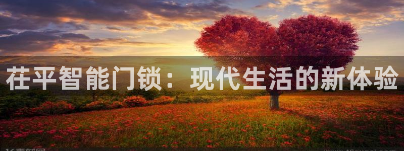 开丰娱乐平台：茌平智能门锁：现代生活的新体验