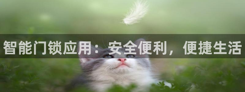 开丰娱乐寸六七五一38：智能门锁应用：安全便利，便捷生活