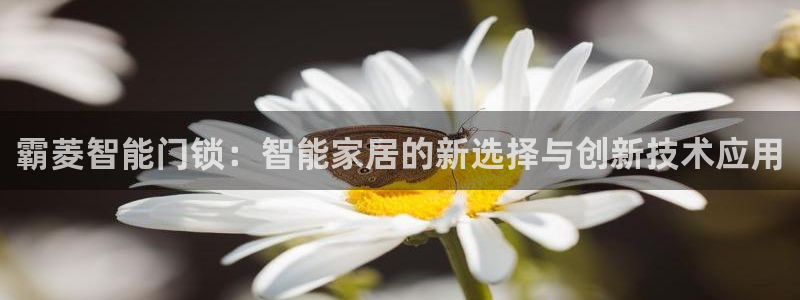 开丰娱乐与六七五一38：霸菱智能门锁：智能家居的新选择与创新