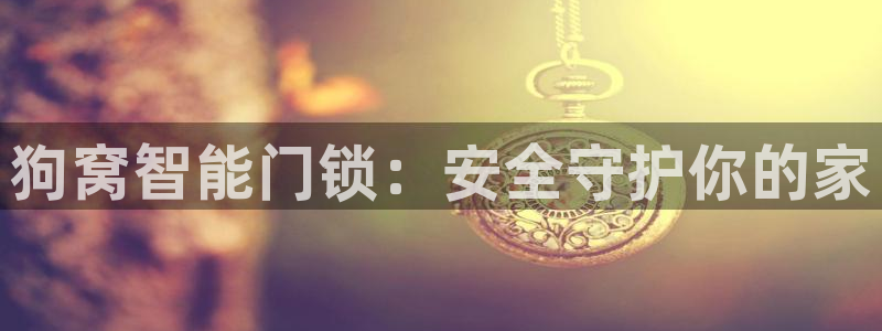 开丰娱乐平台官网登录：狗窝智能门锁：安全守护你的家