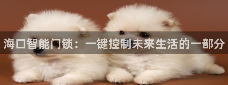 开丰娱乐平台登录网址：海口智能门锁：一键控制未来生活的一部分