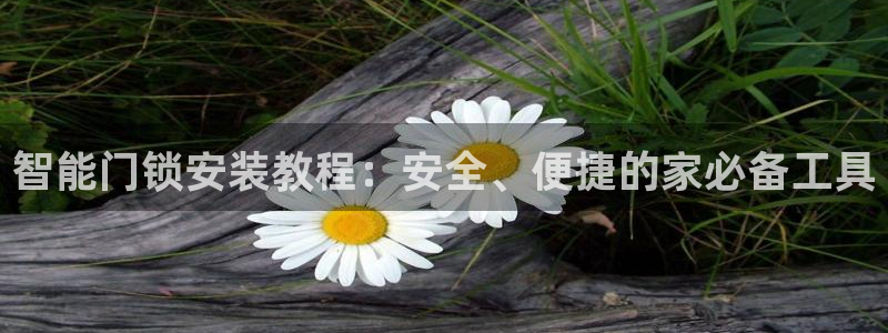 开丰娱乐若七九九：智能门锁安装教程：安全、便捷的家必备工具