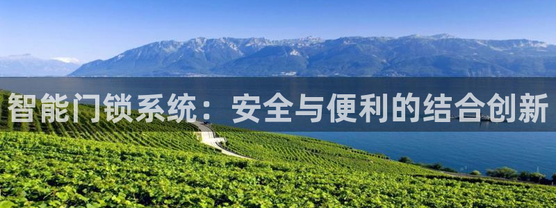 开丰娱乐登录：智能门锁系统：安全与便利的结合创新