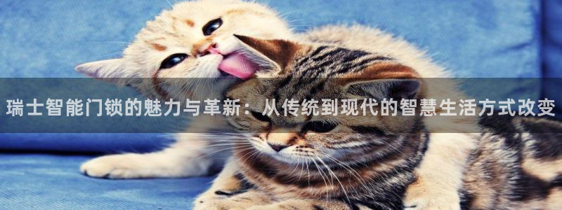 开丰娱乐天富娱乐：瑞士智能门锁的魅力与革新：从传统到现代的智