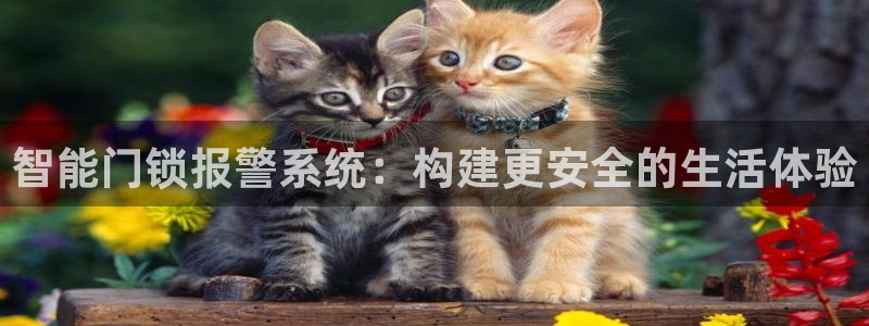开丰娱乐前：智能门锁报警系统：构建更安全的生活体验