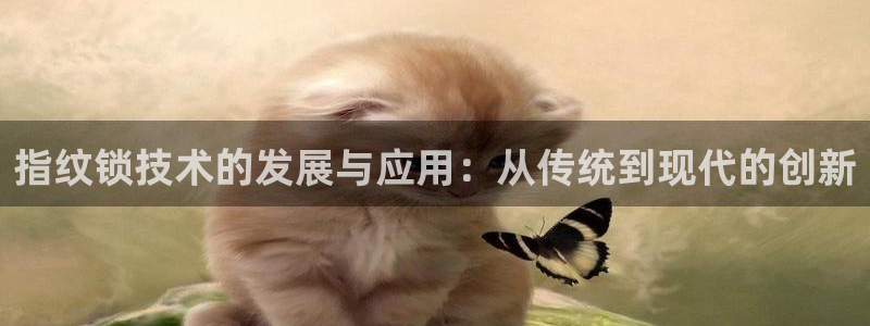 开丰娱乐网站官网首页：指纹锁技术的发展与应用：从传统到现代的