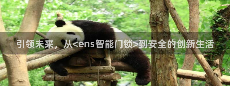 开丰娱乐网站：引领未来，从<ens智能门锁>到安全的创新生活