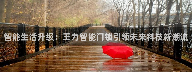 开丰娱乐月7O667：智能生活升级：王力智能门锁引领未来科技