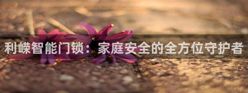 开丰娱乐主管家去判官333OO：利嵘智能门锁：家庭安全的全方