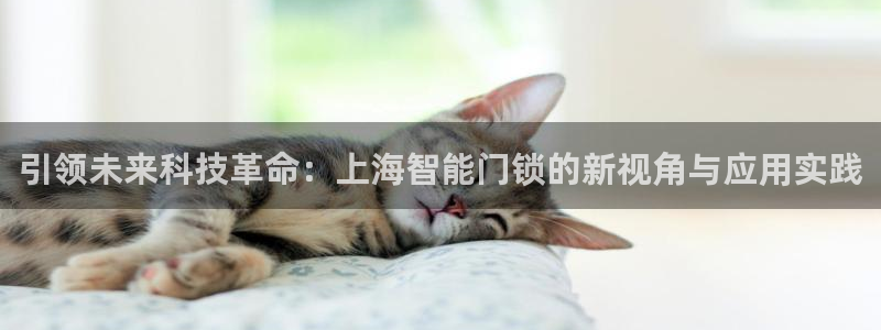 开丰娱乐新登录平台：引领未来科技革命：上海智能门锁的新视角与