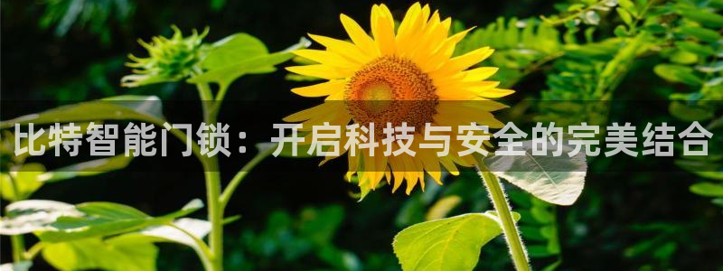 开丰娱乐趣 7O935：比特智能门锁：开启科技与安全的完美结