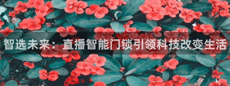 开丰娱乐左：智选未来：直播智能门锁引领科技改变生活