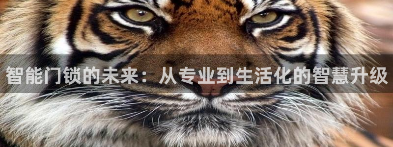 开丰娱乐2登录：智能门锁的未来：从专业到生活化的智慧升级