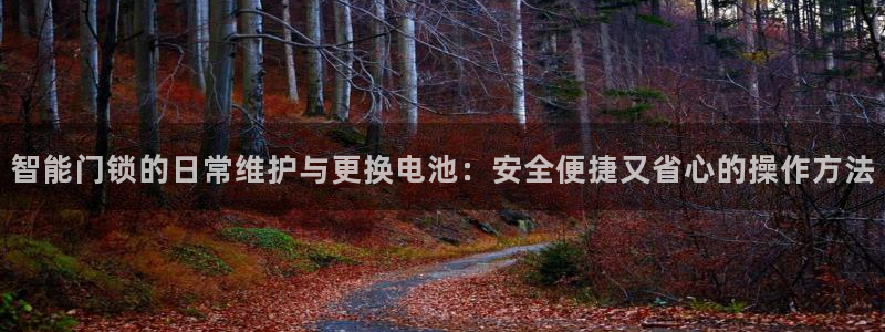圩丰刚开的娱乐场所：智能门锁的日常维护与更换电池：安全便捷又