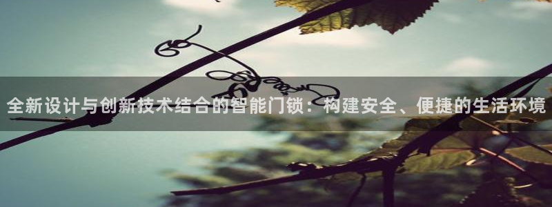 开丰娱乐登入地址在哪：全新设计与创新技术结合的智能门锁：构建