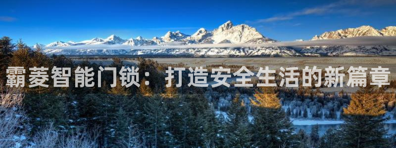 开丰娱乐怎么开转点：霸菱智能门锁：打造安全生活的新篇章