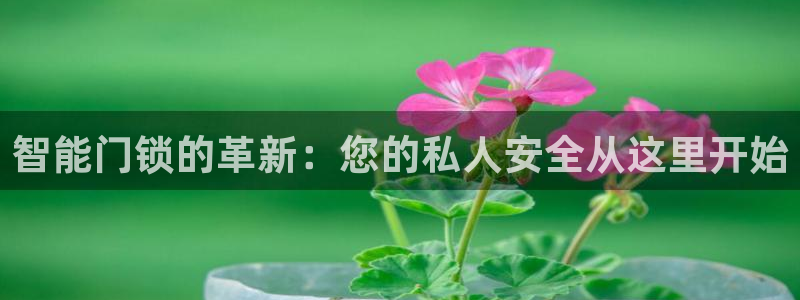 开丰娱乐登陆地址：智能门锁的革新：您的私人安全从这里开始