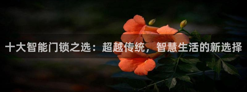 开丰娱乐靠谱吗：十大智能门锁之选：超越传统，智慧生活的新选择