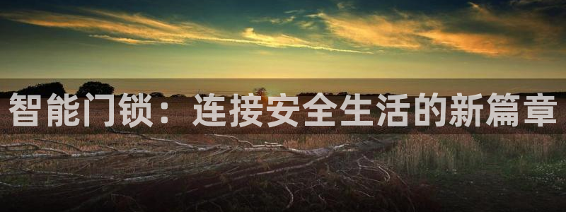 开丰娱乐左：智能门锁：连接安全生活的新篇章
