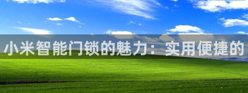 开丰娱乐登入地址在哪查：小米智能门锁的魅力：实用便捷的