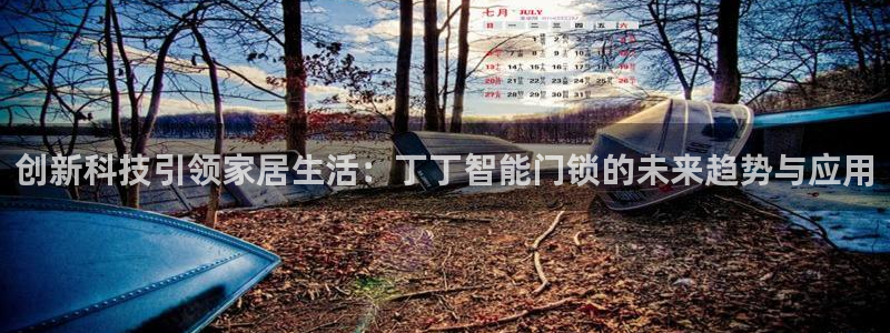 开丰娱乐官网：创新科技引领家居生活：丁丁智能门锁的未来趋势与
