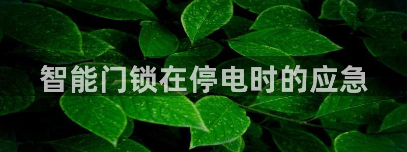 开丰娱乐地址查询：智能门锁在停电时的应急