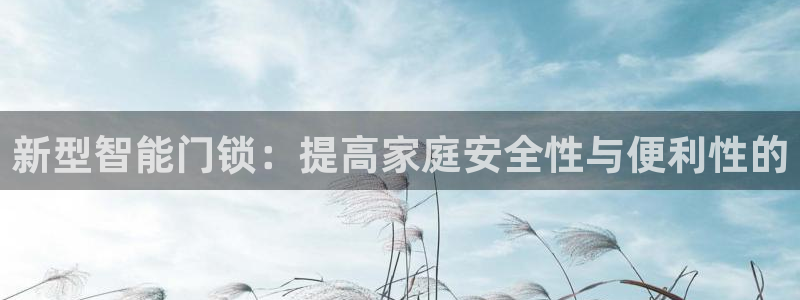 开丰娱乐平台官网登录：新型智能门锁：提高家庭安全性与便利性的
