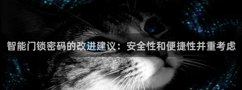 开丰娱乐下7O667：智能门锁密码的改进建议：安全性和便捷性