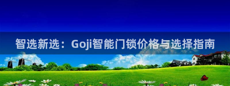 开丰娱乐科技：智选新选：Goji智能门锁价格与选择指南