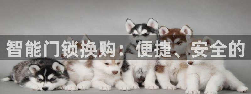 开丰娱乐官网登录平台：智能门锁换购：便捷、安全的