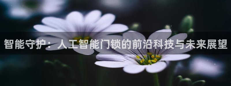开丰娱乐网官网注册入口：智能守护：人工智能门锁的前沿科技与未