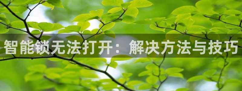 开丰娱乐登入地址在哪儿：智能锁无法打开：解决方法与技巧
