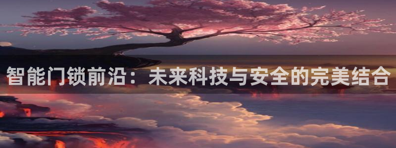 开丰娱乐官网平台：智能门锁前沿：未来科技与安全的完美结合